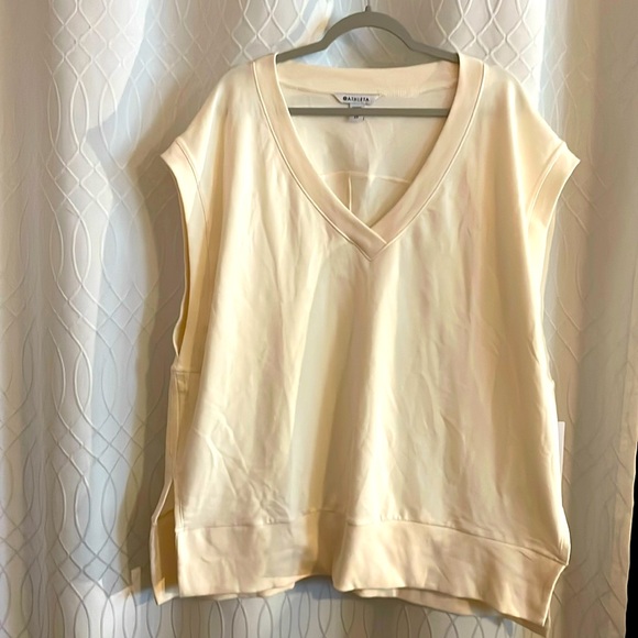 Athleta Sweaters - Athleta Retroterry V-Neck Seeatshirt SZ 2X